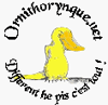 Radio Ornithorynque